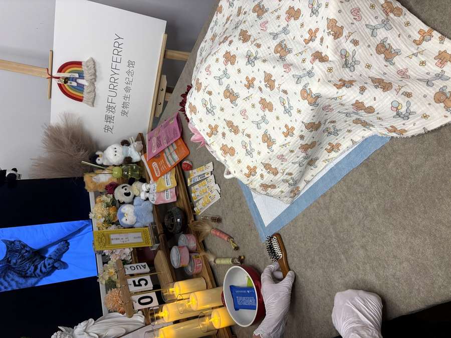 宠物告别仪式