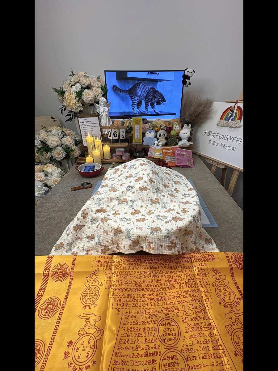 吉林宠物殡葬告别厅实景